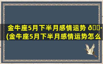金牛座5月下半月感情运势 🌷 (金牛座5月下半月感情运势怎么样)